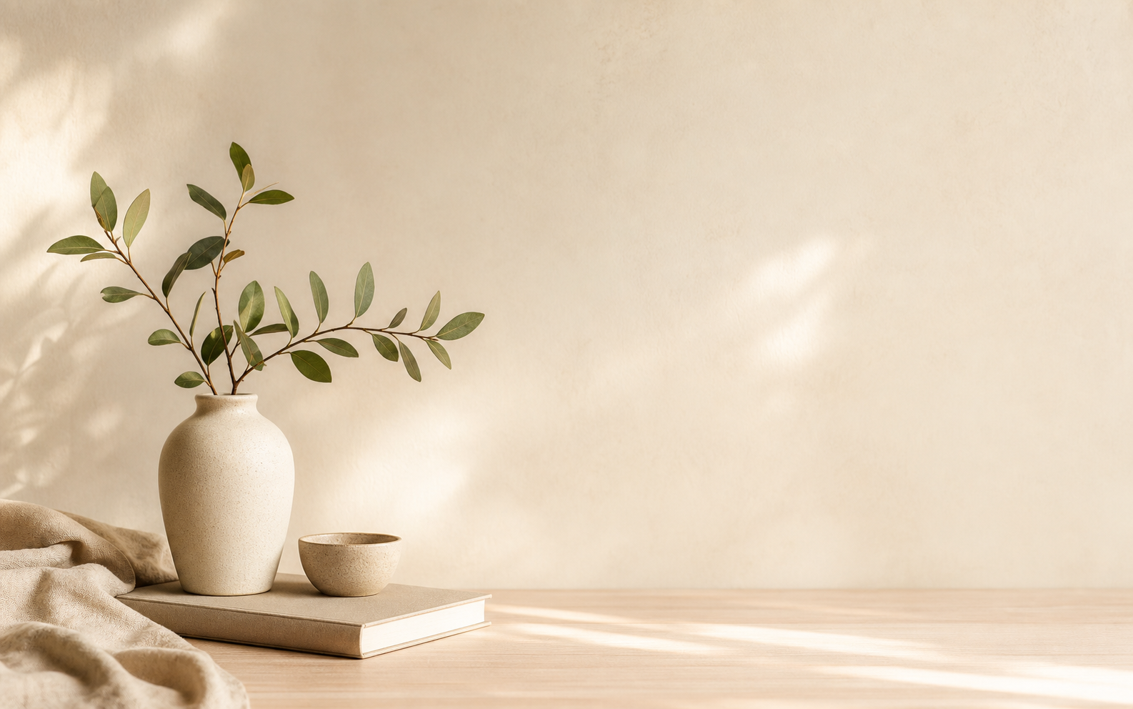 Minimal ceramic vase with green plant in warm light